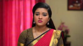 Sembaruthi S01E694 23rd January 2020 Full Episode