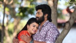 Sembaruthi S01E696 25th January 2020 Full Episode