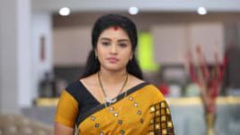 Sembaruthi S01E736 12th March 2020 Full Episode