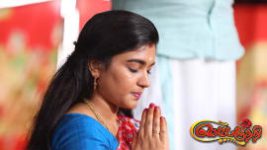 Sembaruthi S01E874 28th November 2020 Full Episode