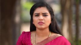 Sembaruthi S01E994 31st March 2021 Full Episode