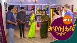 Sumangali S01E493 13th November 2018 Full Episode