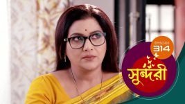 Sundari (Bengali) S01 E315 29th May 2022