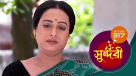 Sundari (Bengali) S01 E317 31st May 2022