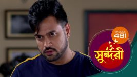 Sundari (Bengali) S01 E481 14th November 2022