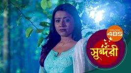 Sundari (Bengali) S01 E485 18th November 2022