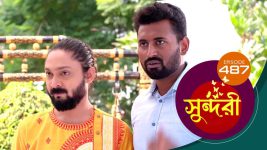 Sundari (Bengali) S01 E487 20th November 2022