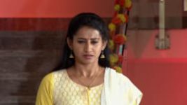 Suryavamsham S01E462 15th April 2019 Full Episode