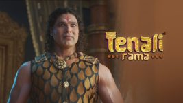 Tenali Rama S01E677 Amrapali Joins The Khelotsav Full Episode