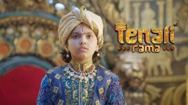 Tenali Rama S01E704 Raghavan's Next Challenge Full Episode