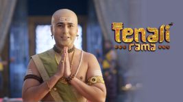 Tenali Rama S01E710 Time For The Third Challenge Full Episode