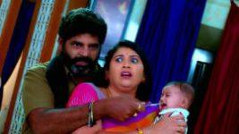 Trinayani (Kannada) S01 E578 27th November 2022