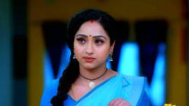 Trinayani (Kannada) S01E423 27th May 2022 Full Episode