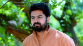 Trinayani (Kannada) S01E447 24th June 2022 Full Episode