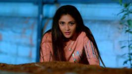 Trinayani (Kannada) S01E471 22nd July 2022 Full Episode