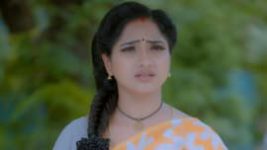 Trinayani (Kannada) S01E475 27th July 2022 Full Episode