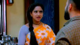 Trinayani (Kannada) S01E476 28th July 2022 Full Episode