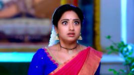 Trinayani (Kannada) S01E499 24th August 2022 Full Episode