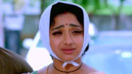 Trinayani (Kannada) S01E535 6th October 2022 Full Episode