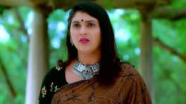 Trinayani (Kannada) S01E557 2nd November 2022 Full Episode