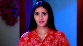 Trinayani (Kannada) S01E565 10th November 2022 Full Episode