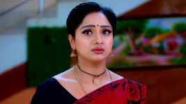 Trinayani (Kannada) S01E566 11th November 2022 Full Episode