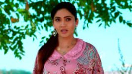 Trinayani (Telugu) S01 E779 23rd November 2022