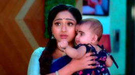 Trinayani (Telugu) S01 E783 28th November 2022