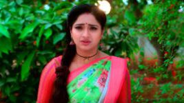 Trinayani (Telugu) S01 E785 30th November 2022