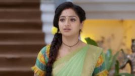 Trinayani (Telugu) S01E148 13th November 2020 Full Episode