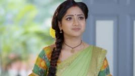 Trinayani (Telugu) S01E149 14th November 2020 Full Episode