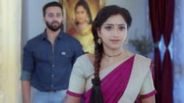 Trinayani (Telugu) S01E151 17th November 2020 Full Episode