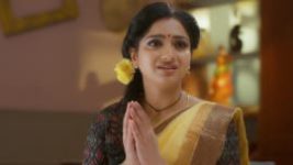 Trinayani (Telugu) S01E153 19th November 2020 Full Episode