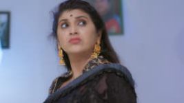 Trinayani (Telugu) S01E156 23rd November 2020 Full Episode