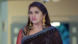 Trinayani (Telugu) S01E157 24th November 2020 Full Episode