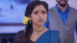 Trinayani (Telugu) S01E159 26th November 2020 Full Episode