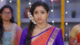 Trinayani (Telugu) S01E161 28th November 2020 Full Episode