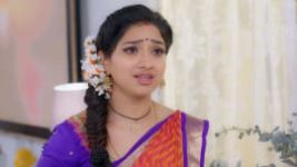 Trinayani (Telugu) S01E162 30th November 2020 Full Episode