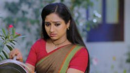 Trinayani (Telugu) S01E17 20th March 2020 Full Episode