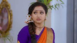 Trinayani (Telugu) S01E173 12th December 2020 Full Episode