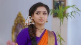 Trinayani (Telugu) S01E174 14th December 2020 Full Episode