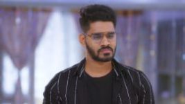 Trinayani (Telugu) S01E176 16th December 2020 Full Episode