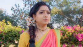 Trinayani (Telugu) S01E179 19th December 2020 Full Episode