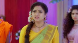 Trinayani (Telugu) S01E201 14th January 2021 Full Episode