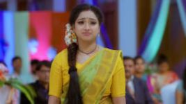 Trinayani (Telugu) S01E202 15th January 2021 Full Episode