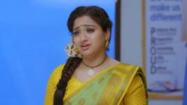 Trinayani (Telugu) S01E203 16th January 2021 Full Episode