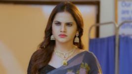 Trinayani (Telugu) S01E204 18th January 2021 Full Episode