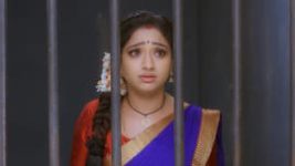 Trinayani (Telugu) S01E211 26th January 2021 Full Episode