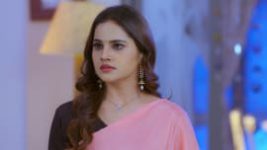 Trinayani (Telugu) S01E214 29th January 2021 Full Episode