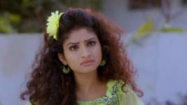 Trinayani (Telugu) S01E216 1st February 2021 Full Episode